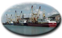 Vissershaven Breskens